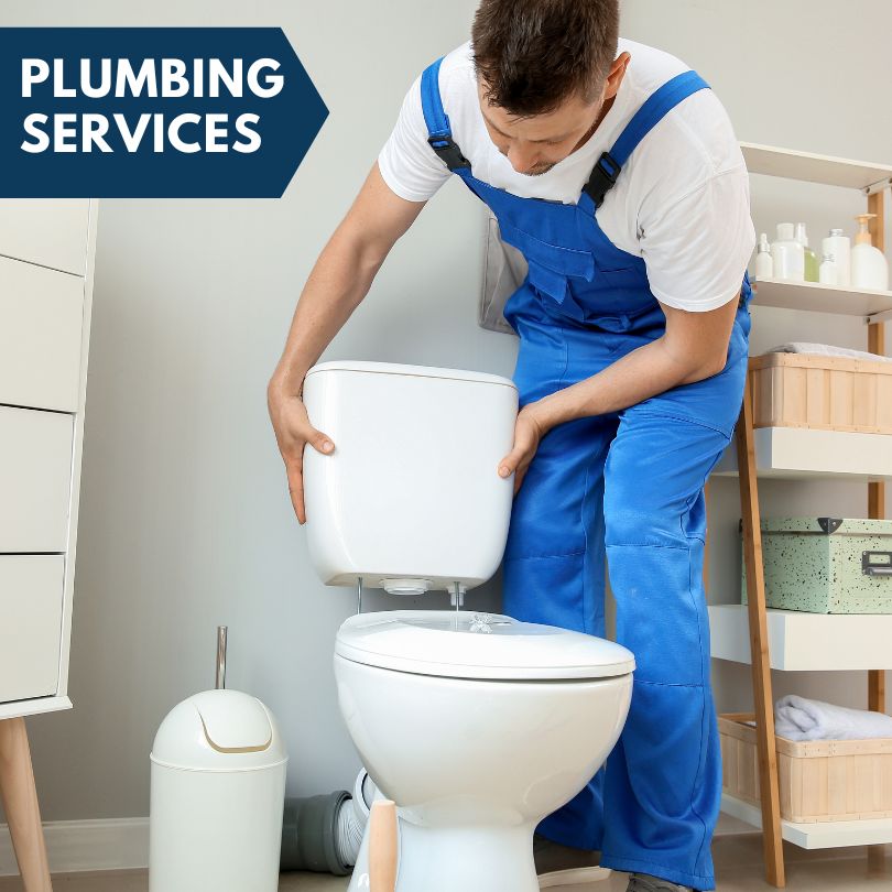 Plumbing Company in Osprey, FL